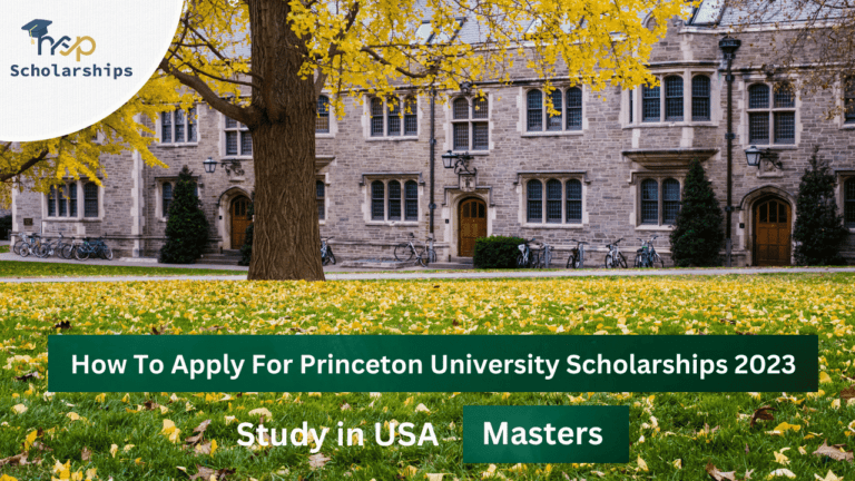 How To Apply For Princeton University Scholarships 2023
