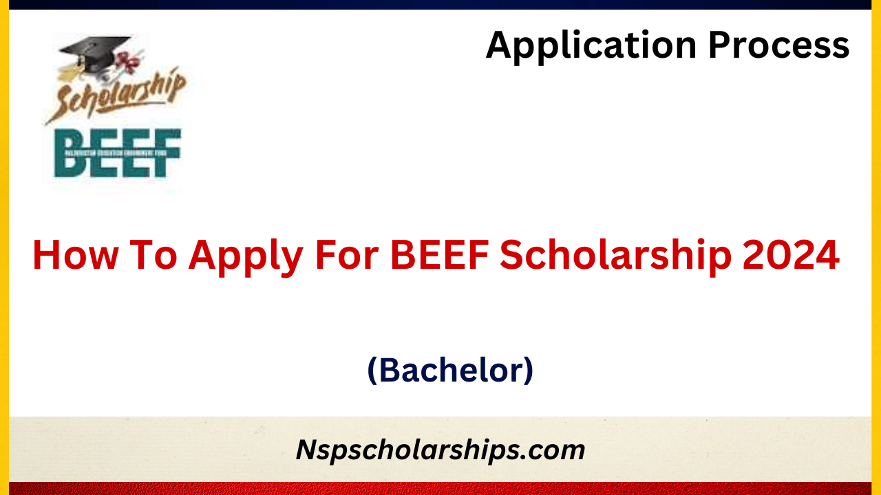 How To Apply For BEEF Scholarship 2024 
