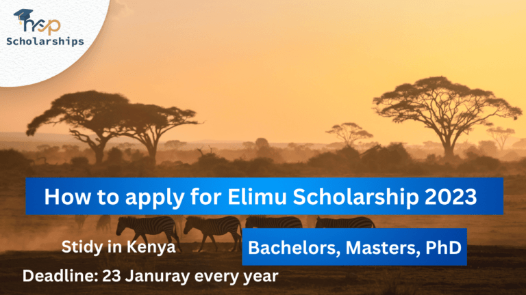 How to apply for Elimu Scholarship 2023 