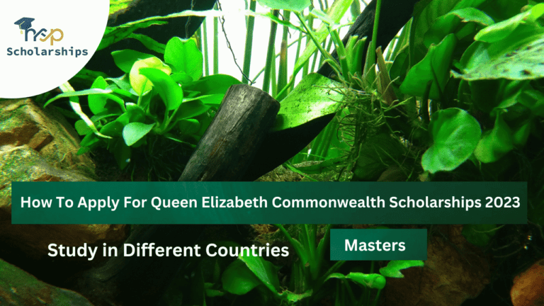 How To Apply For Queen Elizabeth Commonwealth Scholarships 2023