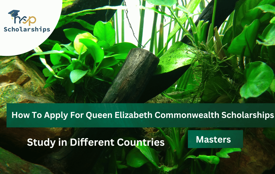 How To Apply For Queen Elizabeth Commonwealth Scholarships 2023