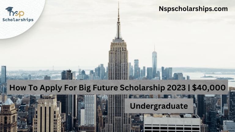 Big Future Scholarship 2023