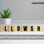 Remnant Fellowship 2023 Application Process