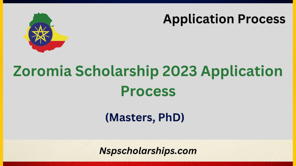 Zoromia Scholarship 2023 Application Process
