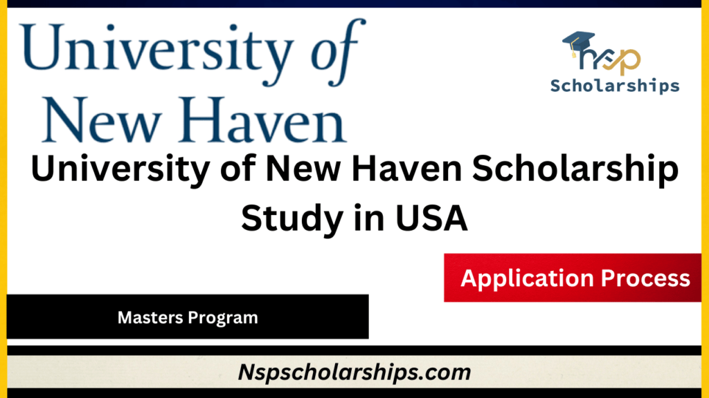 University of New Haven Scholarship 2024-Study in USA