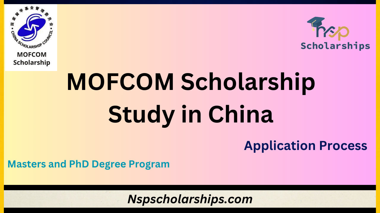 Scholarship 2024Study in China