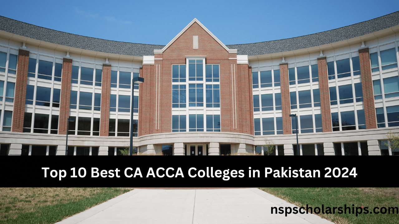 Top 10 Best CA ACCA Colleges in Pakistan 2024