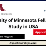 University of Minnesota Fellowship 2024-Study in USA