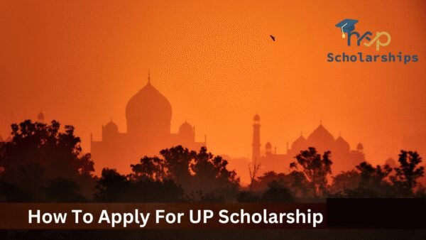 How To Apply For UP Scholarship 2025