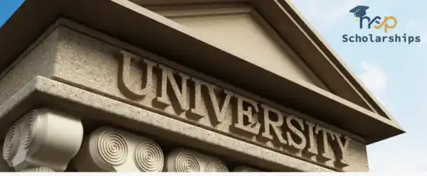 How To Apply For Taco Bell Scholarship 2026